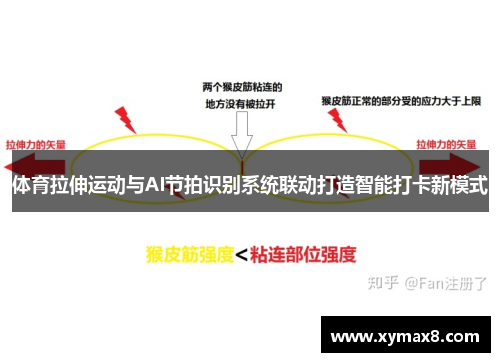 体育拉伸运动与AI节拍识别系统联动打造智能打卡新模式